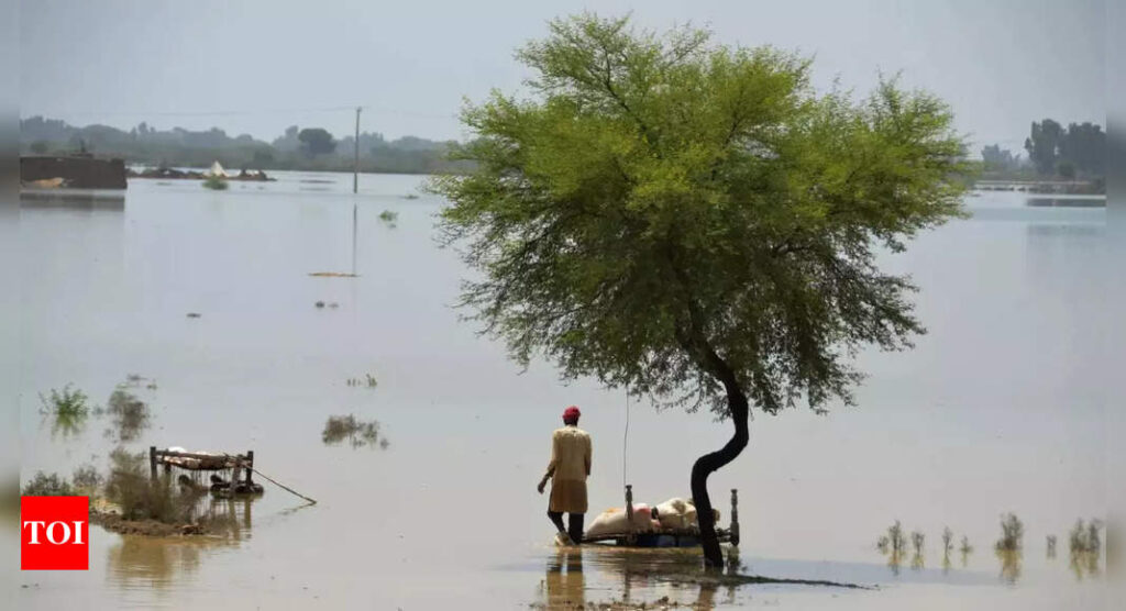 Explainer: Pakistan fatal flooding has hallmarks of warming