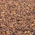 Govt to give states 15L tonne of chana